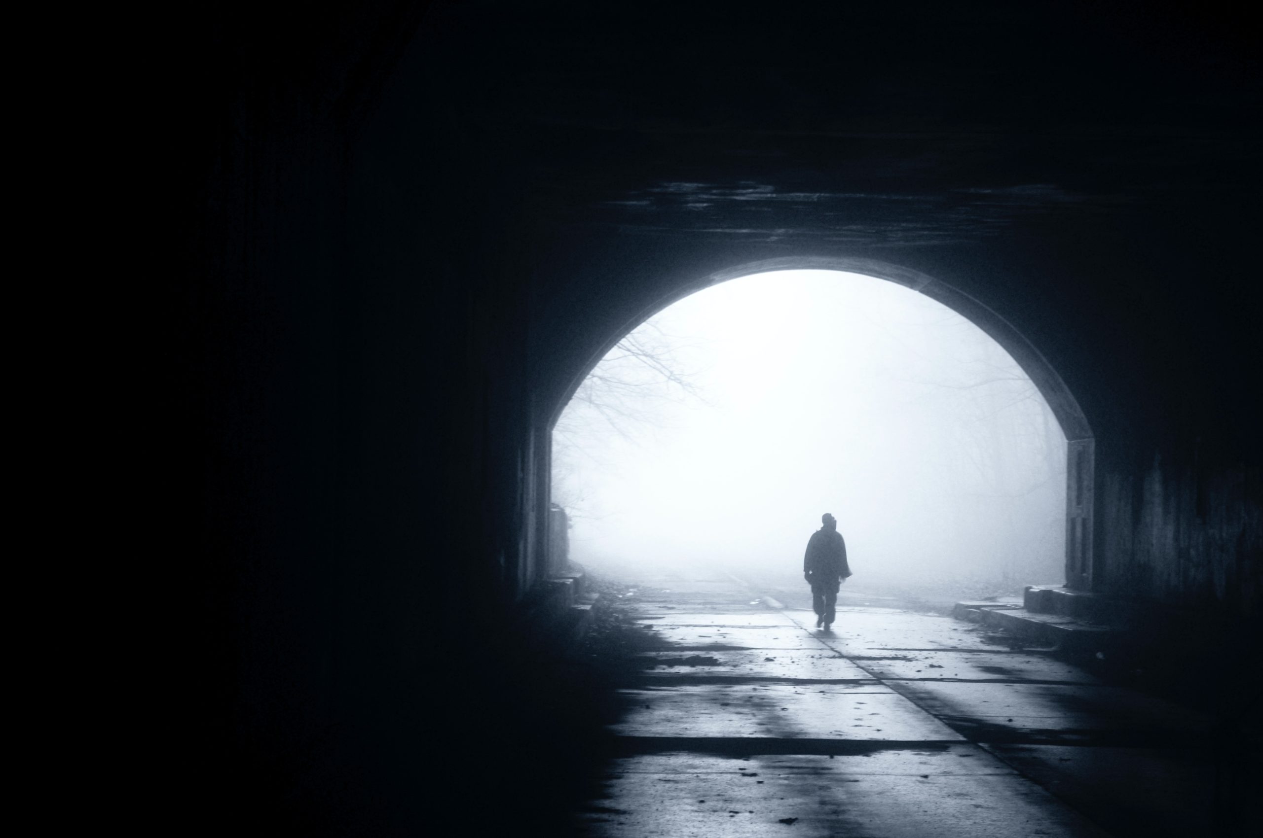 chris buckwald RXWgx93tz8w unsplash scaled