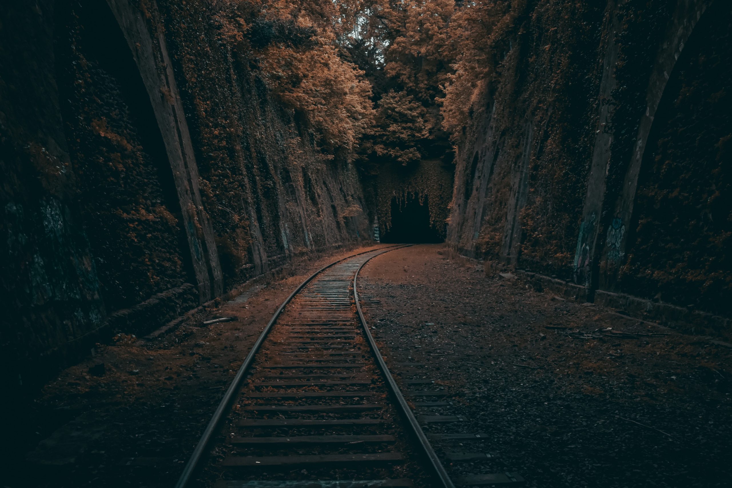 florian olivo EIlYEtih0v8 unsplash scaled