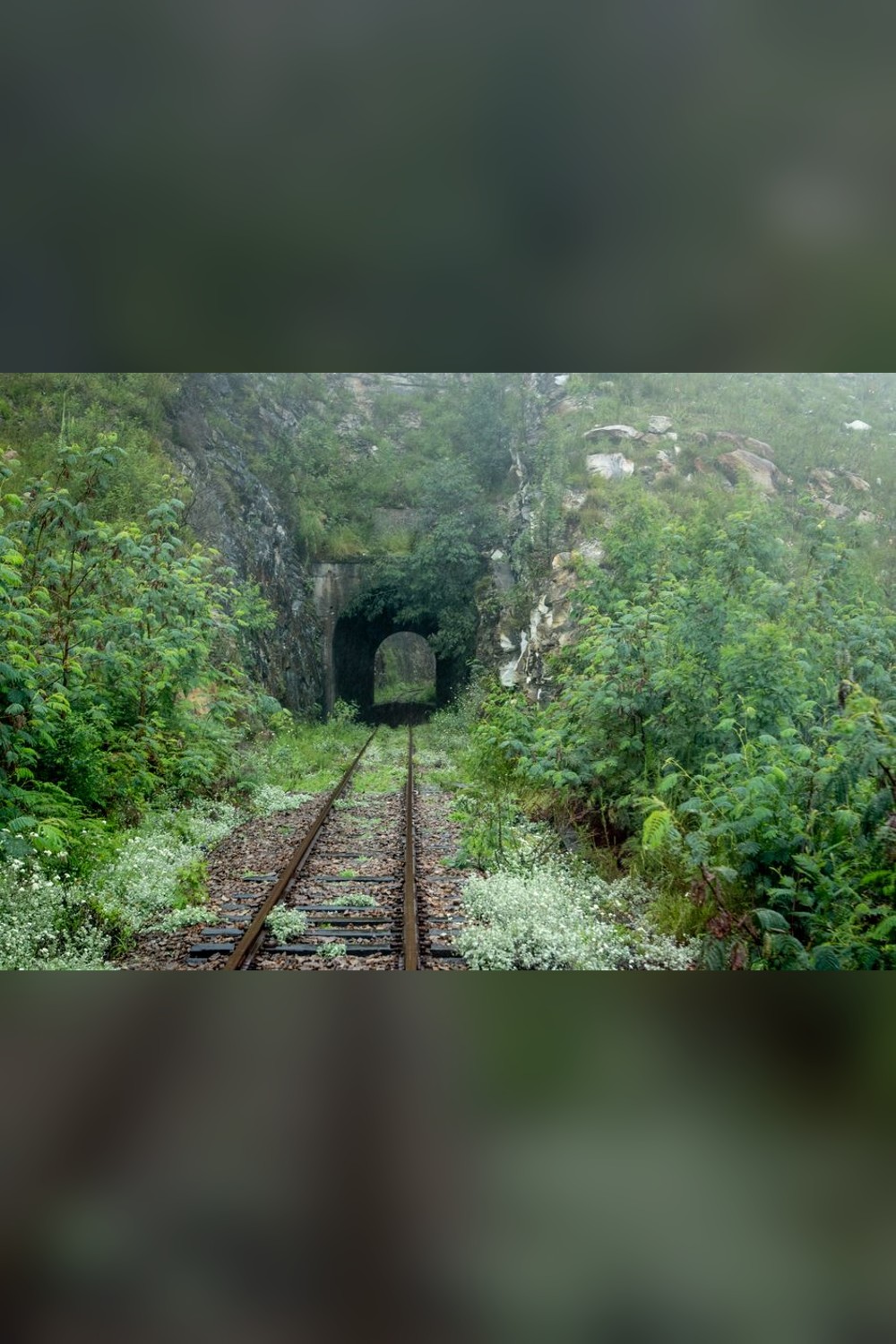 Pin this: Arakawa Tunnel Saitama