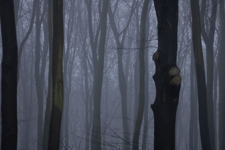 pexels photo 11336947