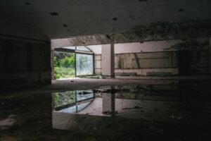 Vadim Braydov via Pexels