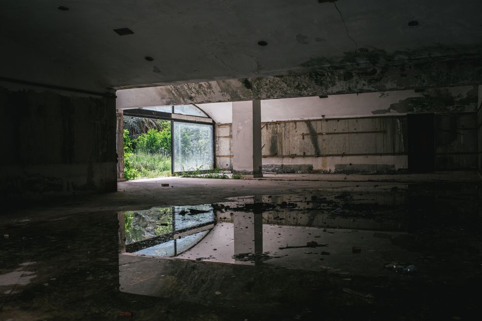 Vadim Braydov via Pexels