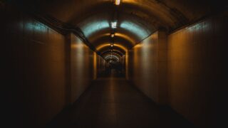 pexels photo 14075168