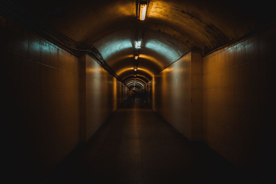 pexels photo 14075168