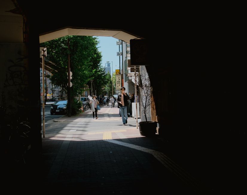 pexels photo 16547114