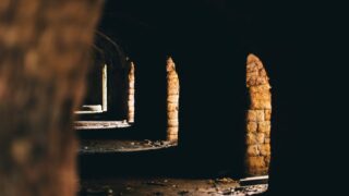 pexels photo 18279439