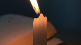 pexels photo 18448264