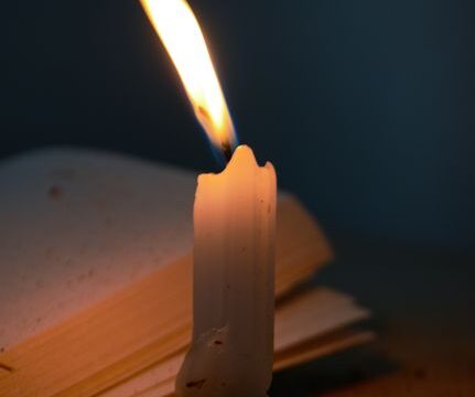 pexels photo 18448264