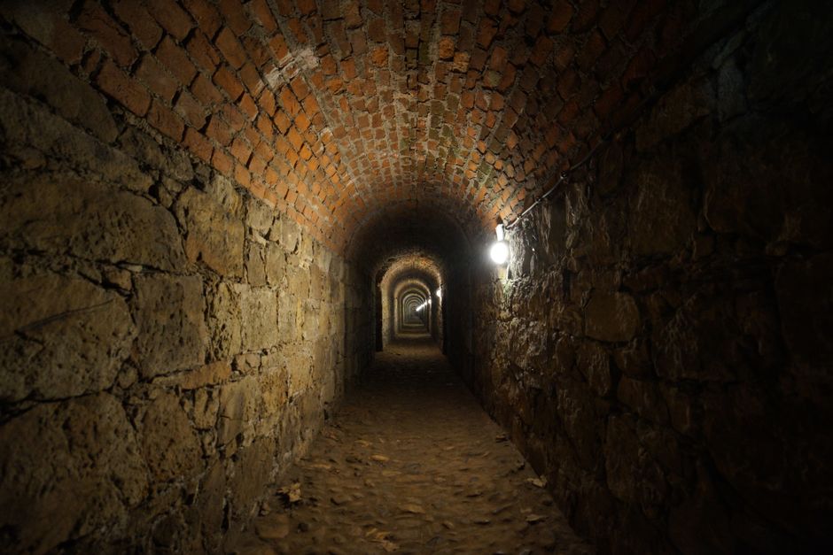 pexels photo 18800112 24