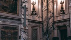pexels photo 18845131