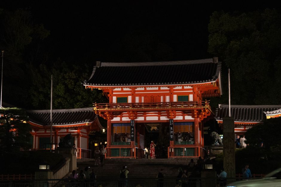 pexels photo 29241291
