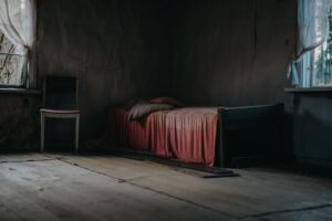 pexels photo 3119220