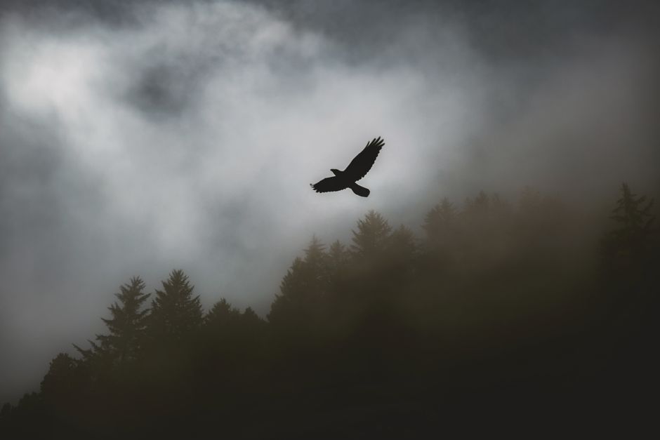 pexels photo 3213357