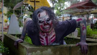 pexels photo 34092680 1
