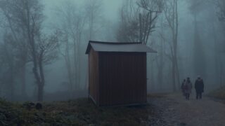 pexels photo 35555604