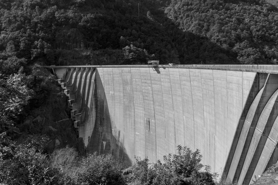 pexels photo 35649246
