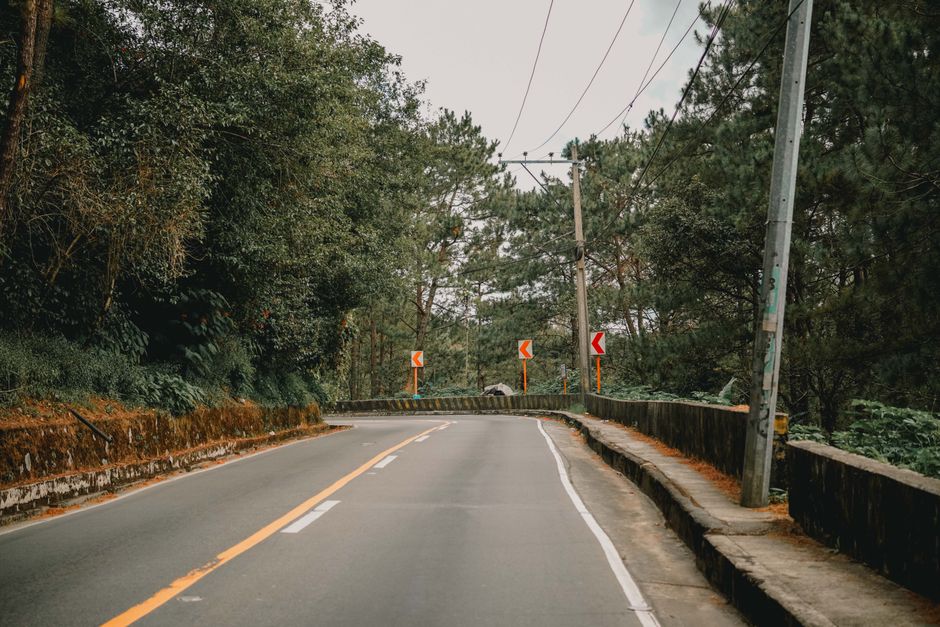 pexels photo 36301511