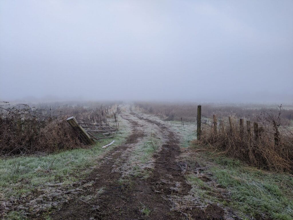 Black Shuck: England’s Phantom Black Dog