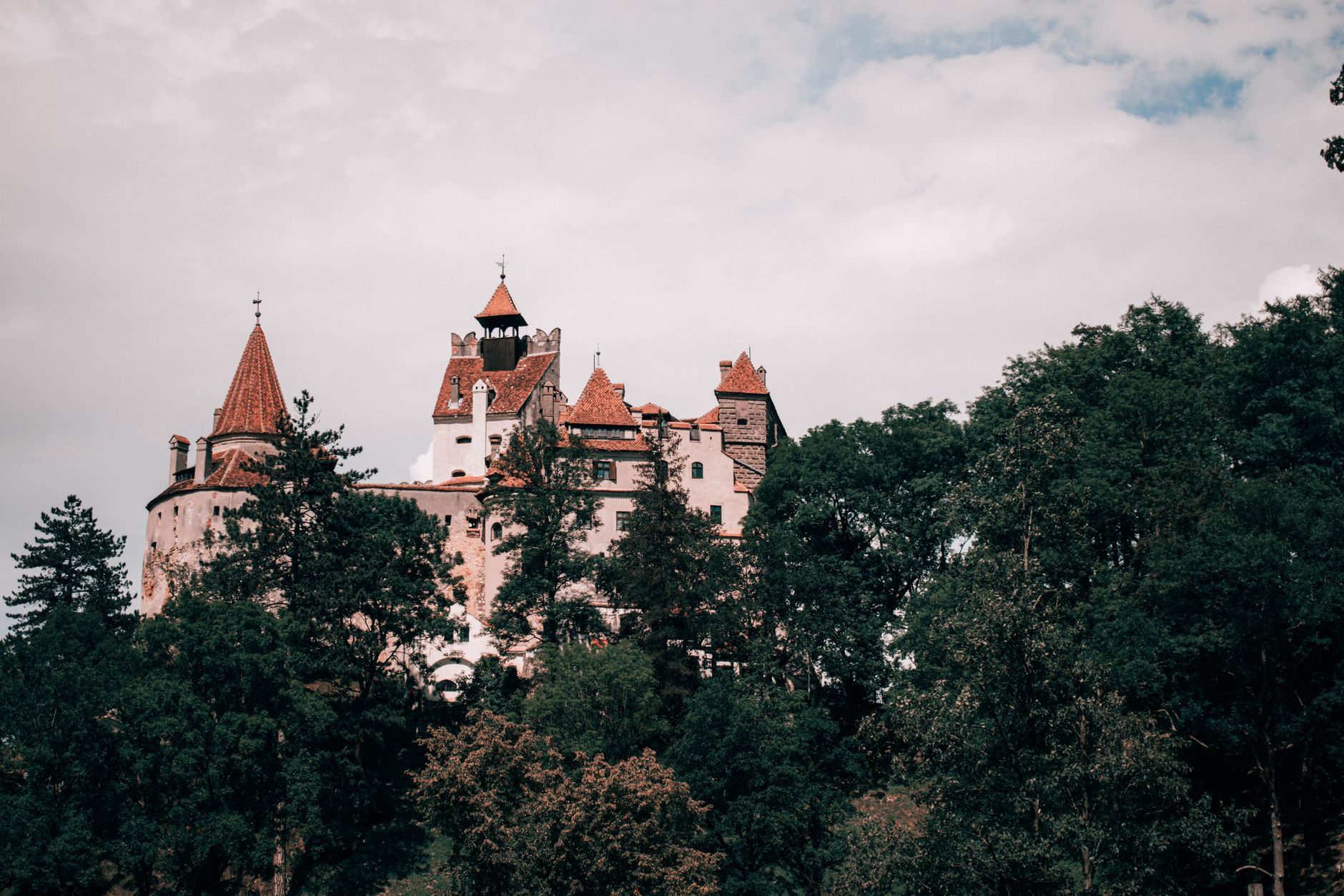 Iulian Patrascu via Pexels