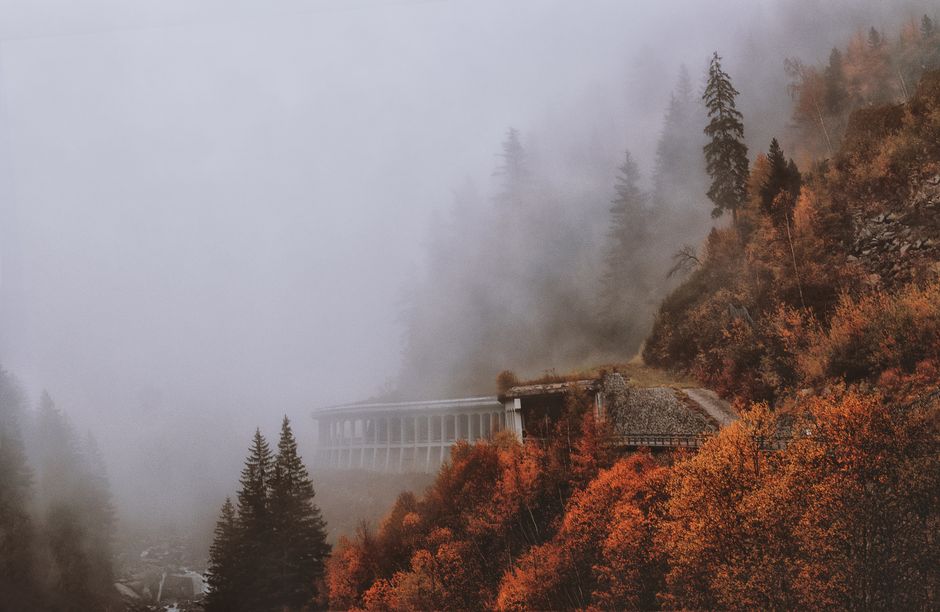eberhard grossgasteiger via Pexels