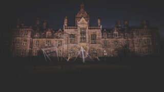pexels photo 775667