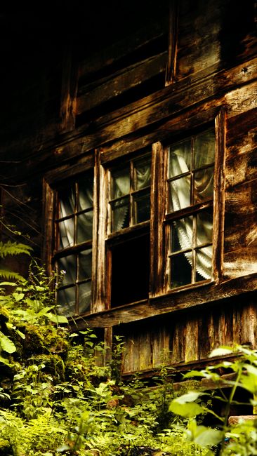 Mirac Sendil via Pexels