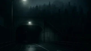 senda tunnel