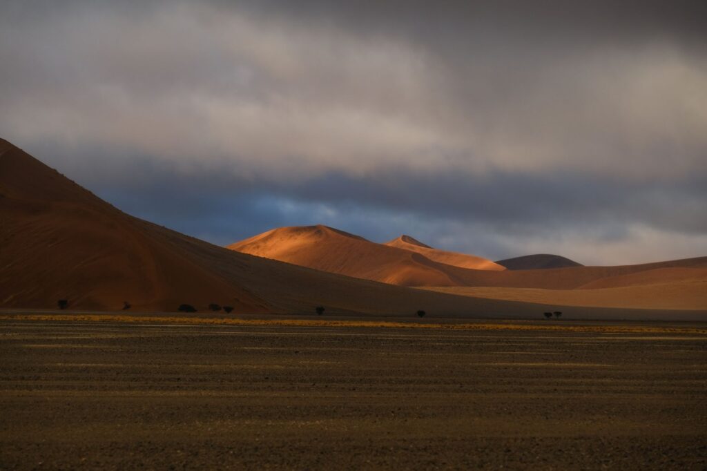 Abu Fanous: The Lantern Spirit of Arab Desert Folklore