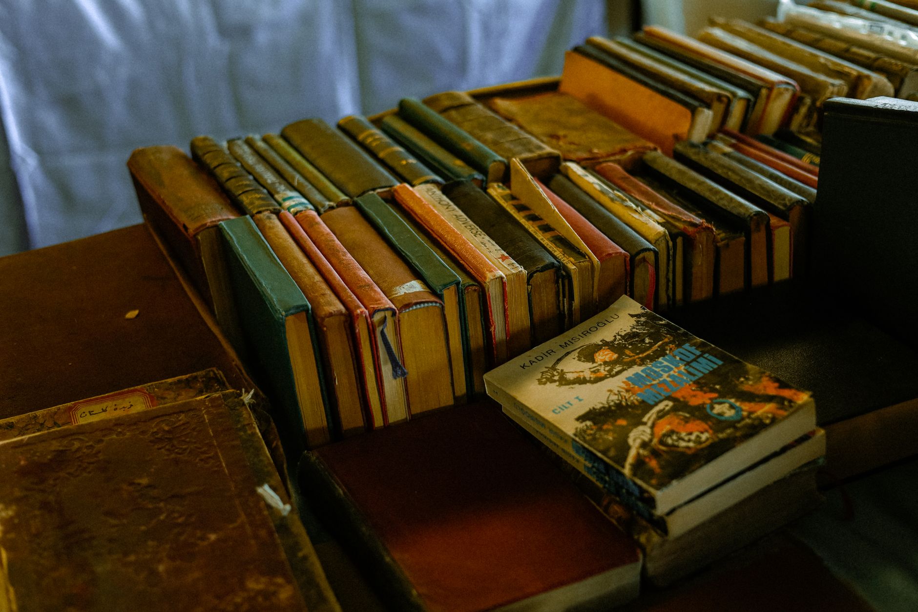 best books on african anti colonial resistance history photo