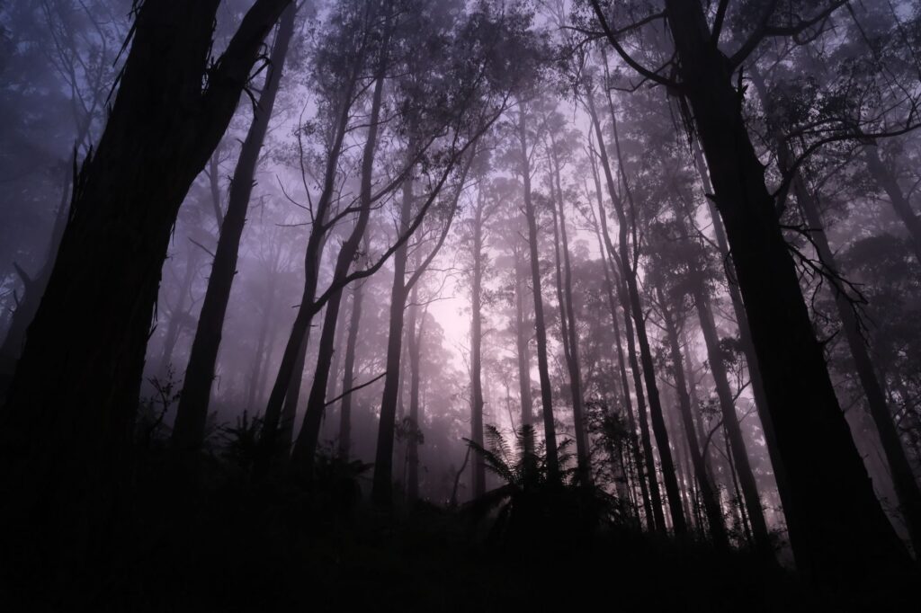 Dow Hill, Kurseong: The Headless Boy Legend