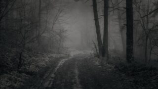 eloko biloko congo forest spirits photo