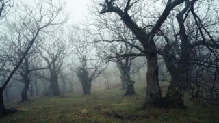 gwishin korean ghost folklore photo 1