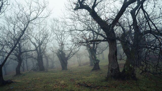gwishin korean ghost folklore photo 1