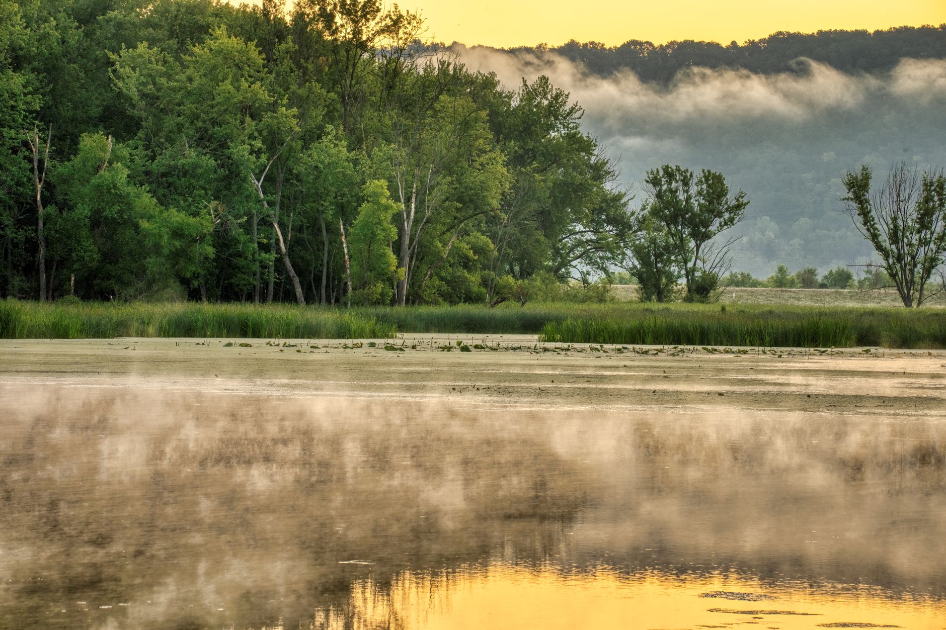 A tranquil lake scene in Minnesota with mist rising above the water and a lush forest background.