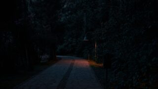 kotoribako photo