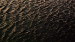 mecho bhoot bengali fish ghost photo