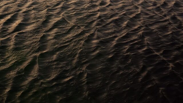mecho bhoot bengali fish ghost photo
