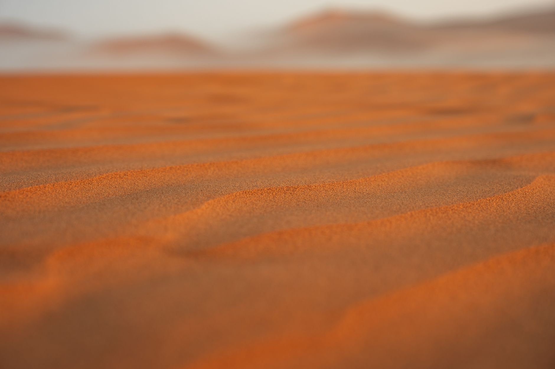 A tranquil view of desert sand dunes with warm tones at sunset, focusing on the texture.
