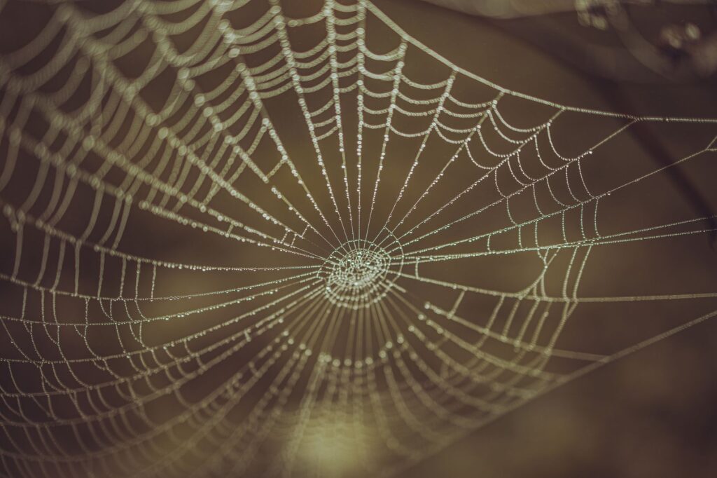 Nareau: The Spider God Who Made Kiribati’s World