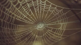 nareau kiribati spider creator god photo