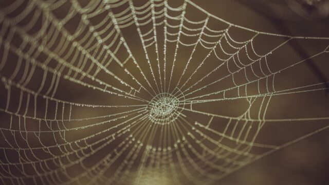 nareau kiribati spider creator god photo