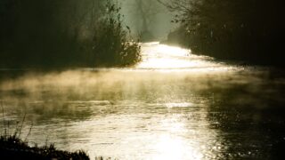 nyami nyami zambezi river god photo