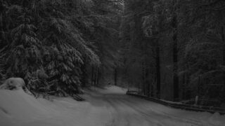 perchta alpine winter goddess photo