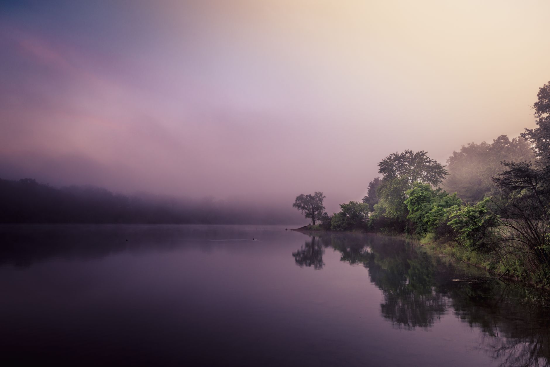 Tranquil lake scene with foggy reflections and lush greenery at dawn.