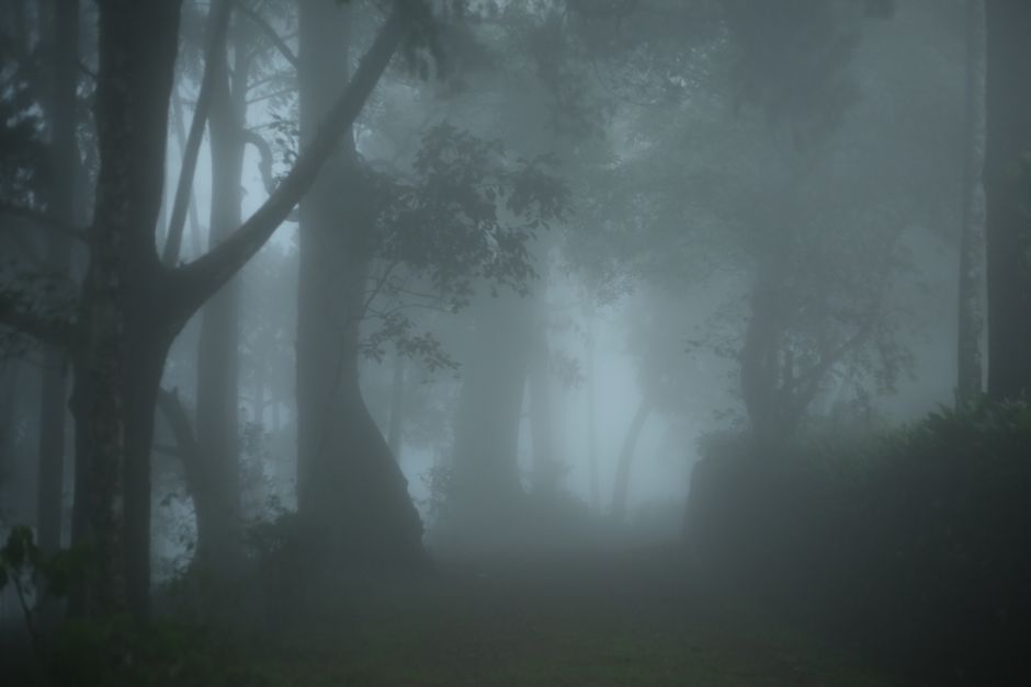 Picstacy via Pexels