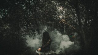 pexels photo 13993619