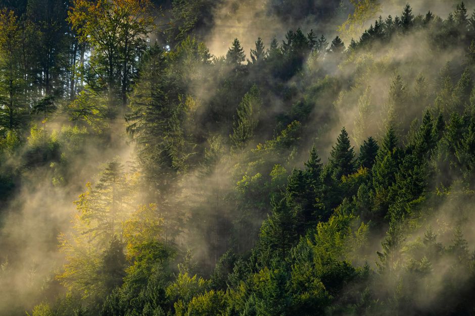 pexels photo 21358193
