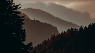 pexels photo 35205669