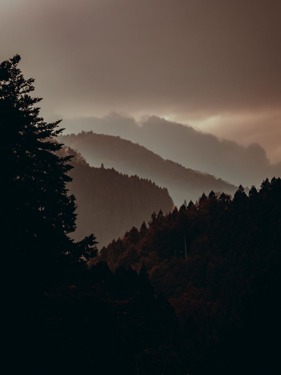 pexels photo 35205669