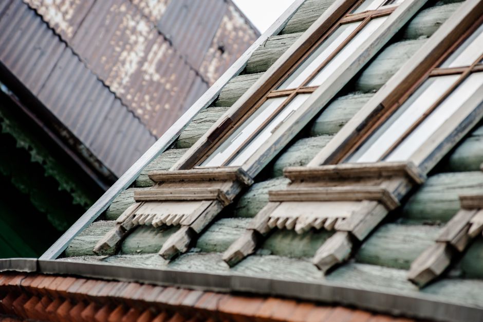 pexels photo 36815098